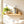 Blue Wren Wall Decals