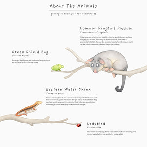 Possum in Gum Tree Wall Decals