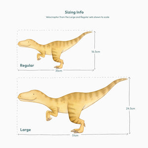 T Rex and Velociraptor Wall Decals