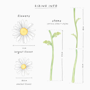 Summer Daisies Wall Decals