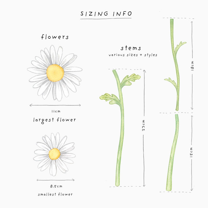 Summer Daisies Wall Decals