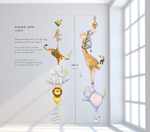 large Safari Stack sizing information